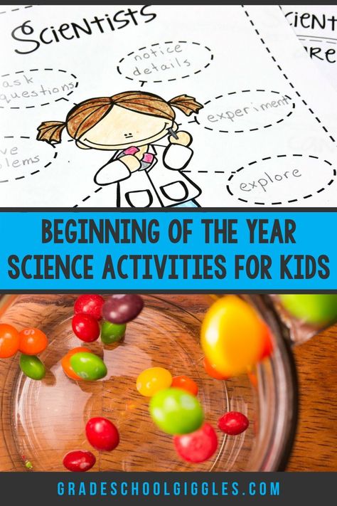 Science Activities For First Grade, Science 3rd Grade Activities, Science Experiments For Second Grade, Scientific Method Kindergarten, Scientist Books For Kids, I Am A Scientist Preschool, Scientific Method First Grade Activities, What Is A Scientist Free Printable, Scientific Method Preschool