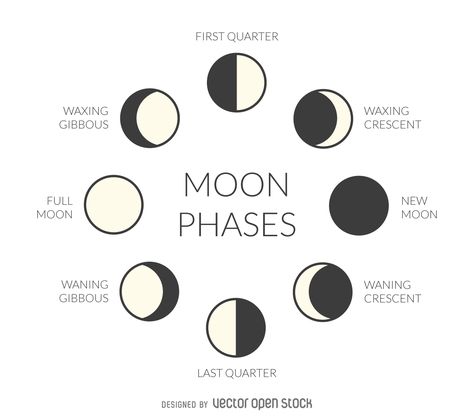 Illustrated moon phases. Download Large Image 1324x1165px Moon Phases Drawing, Witchy Lifestyle, Tata Surya, Moon Phases Art, Idee Cricut, Lunar Phase, Moon Drawing, Phases Of The Moon, Lunar Cycle