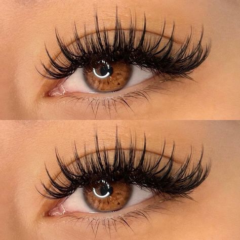 Lens Eyes, Natural Fake Eyelashes, Lash Mapping, Lashes Fake Eyelashes, Lash Extensions Makeup, Lash Styles, Eyelash Extensions Styles, Lash Extensions Styles, Color Contact Lenses