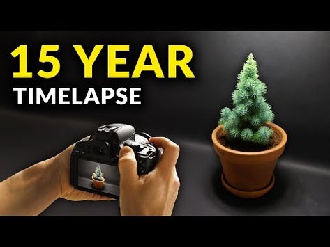 (3) I Filmed Plants For 15 years | Time-lapse Compilation - YouTube Plant Growing, Music Playing, Chamber Music, Different Plants, Time Lapse, Cool Plants, Nature Design, Botany, 30 Minutes