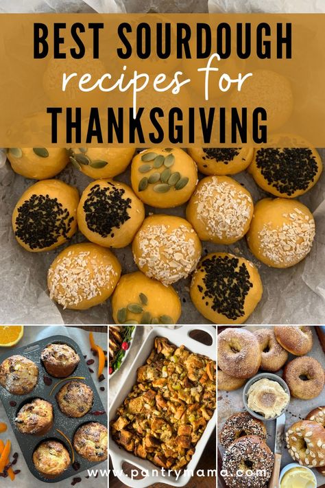 Sourghdough Recipes, Sourdough Discard Thanksgiving, Sourdough Discard Thanksgiving Recipes, Sourdough Thanksgiving Rolls, Turkey Shaped Sourdough Bread, Sourdough Discard Recipes Bread, Thanksgiving Sourdough Scoring, Thanksgiving Sourdough Bread, Sourdough Discard Crackers Recipes