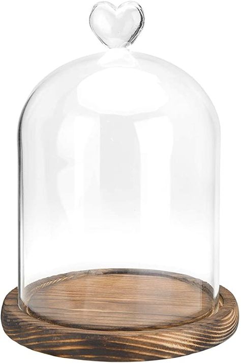 Amazon.com: MyGift Clear Glass Cloche Bell Jar Display Case with Heart Top Handle & Dark Brown Wooden Base: Home & Kitchen Cloche Decor, Vinyl Record Holder, Glass Bell Jar, Jar Display, Cloche Domes, Glass Dome Display, Glass Cloche, The Bell Jar, Shoe Display