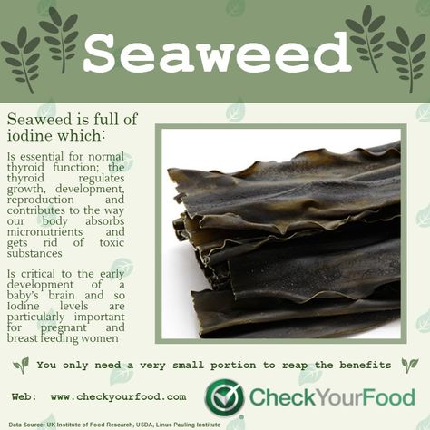 Seaweed Benefits Health, Eating Seaweed, Seaweed Snacks Recipes, Seaweed Benefits, Benefits Of Seaweed, Spiritual Religion, Seaweed Snacks, Thyroid Support, Thyroid Function