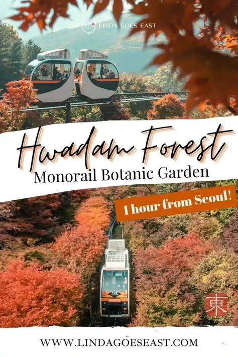 Hwadam Forest (화담숲) is a stunning botanic garden with a scenic monorail trail located just one hour from Seoul near Gwangju in Gyeonggi Province. It’s great for a day trip from Seoul and a great place to enjoy the outdoors. Visiting Korea, 2025 Inspiration, Korea Itinerary, Seoul Garden, Seoul Aesthetic, Travel Countries, Korean Travel, Seoul Korea Travel, Asia Trip