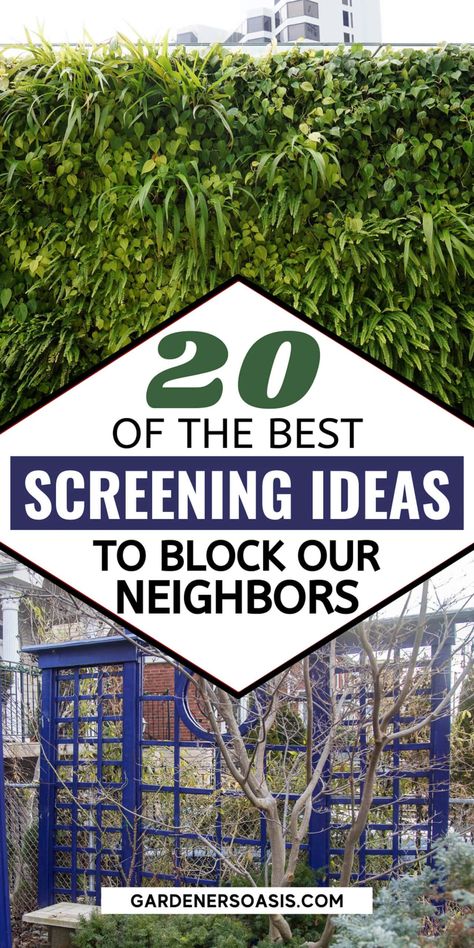 Creative Fence Ideas Privacy Screens, Trellis Screening Ideas, Privacy Walls For Patios, Diy Metal Privacy Screen Outdoor, Rooftop Deck Privacy Wall, Trellis For Privacy Screens, Green Privacy Screen Outdoor, Trellis Panels Privacy Screens, Close Houses Privacy