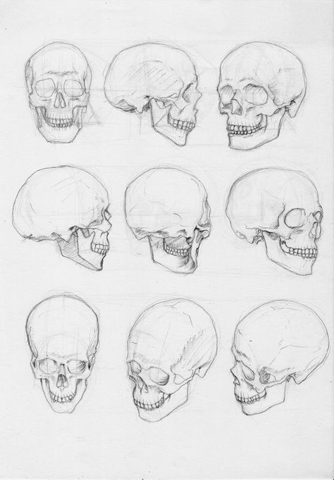 Pulled Pork And Coleslaw, Keto Pulled Pork, Skull Drawing Sketches, Body Studies, Keto Coleslaw, Skull Anatomy, Skull Reference, Skull Sketch, Skeleton Drawings