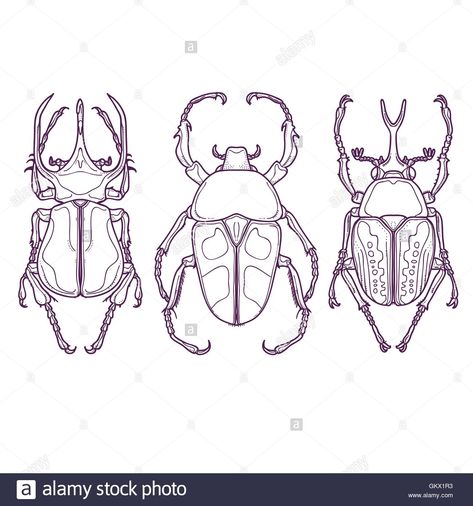 Beetle Flash Tattoo, Beetle Outline Drawing, Bug Outline Tattoo, Beetle Line Drawing, Bug Outlines, Beetle Line Art, Insect Outline, Beetle Outline, Drawings Of Insects