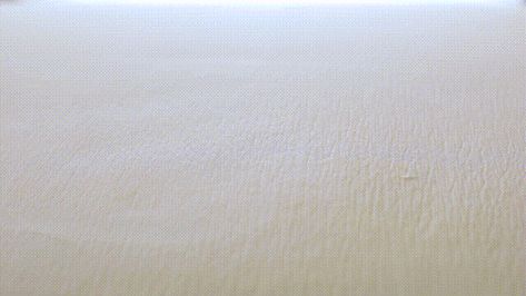 Carpet Pads vs. Carpet Padding: Which Should You Get? - RugPadUSA Waterproof Rug, Carpet Padding, Carpet Installation, Types Of Carpet, Best Carpet, Berber Carpet, Polyurethane Foam, Sound Proofing, Rug Pad