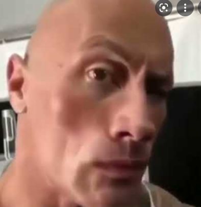 Raised Eyebrow Emoji, The Rock Eyebrow, One Eyebrow Raised, Rock Meme, Disgusted Face, Dora Funny, Raised Eyebrow, Rock Johnson, The Rock Dwayne Johnson