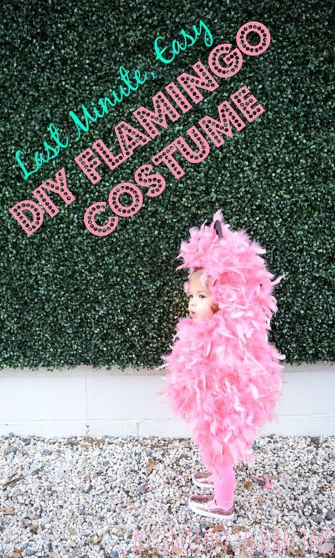 Last Minute, Easy DIY Flamingo Halloween Costume! - Erin N. Phillips Flamingo Halloween Costume, Flamingo Halloween, Diy Flamingo, Meme Costume, Flamingo Costume, Halloween Infantil, Baby Costume, Hallowen Costume