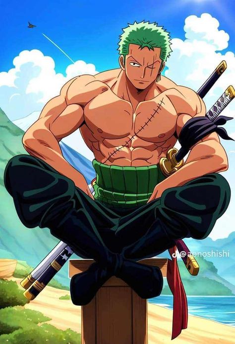 Zoro Physique, Zoro Picture, Zoro Full Body, Roronoa Zoro Hot, Zoro Birthday, Zorro Roronoa, Zoro Hot, Zoro Drawing, Barba Branca One Piece