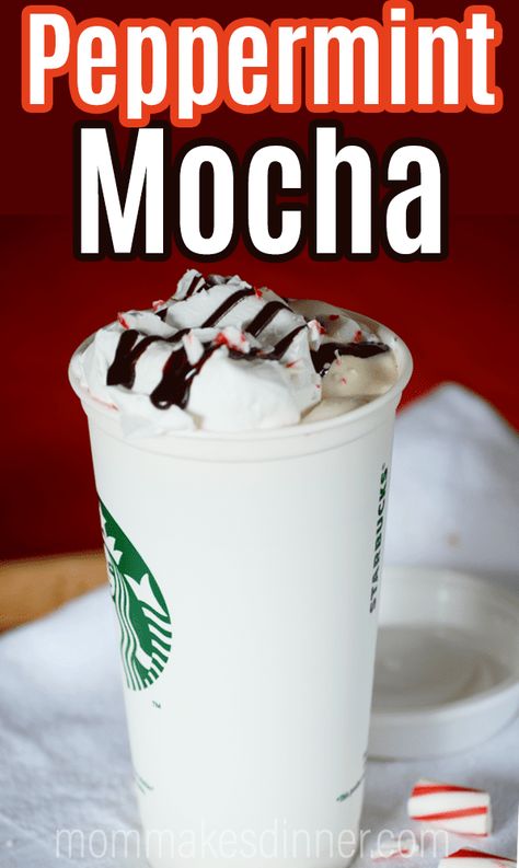 Peppermint Mocha Starbucks Recipe, Hot Peppermint Mocha Recipe, Starbucks Hot Mocha Recipe, Starbucks Peppermint White Mocha, How To Make A Peppermint Mocha, Peppermint Frappuccino Recipe, Peppermint Mocha Coffee Recipe, How To Make Peppermint Mocha At Home, Copycat Starbucks Peppermint Mocha