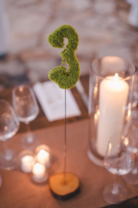 #table-numbers, #moss Photography: Jason + Anna Photography - jasonandannaphotography.com Read More: http://www.stylemepretty.com/2014/08/13/rustic-chic-austin-wedding-at-the-wildflower-center/ Moss Table Numbers Wedding, Moss Table Numbers, Vintage Table Number Ideas, Moss Centerpiece Wedding, Vintage Table Numbers, Unique Table Numbers, Moss Centerpieces, Simple Wedding Reception, Moss Photography