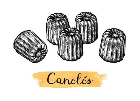 Canele. French pastry. Ink sketch isolated on white background. Hand drawn vector illustration. Retro style. French Sweets, French Pastry, Hand Drawn Vector Illustrations, French Pastries, Hand Drawn Vector, Ink Sketch, Ink Painting, Retro Style, Google Images