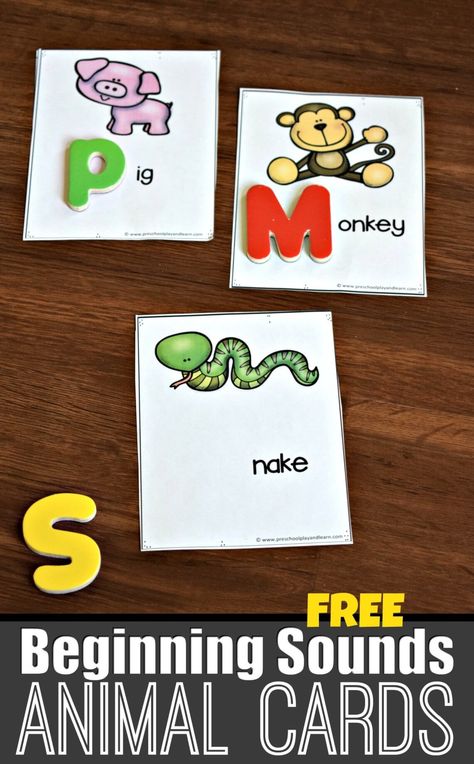 FREE Beginning Sounds Animal Cards - super cute phonics activity for preschool and kindergarten age kids #phonics #alphabet #preschool Phonics Activities Free Printable, Beginning Sound Picture Cards, Phonic Activities Preschool, Phonics Activities Preschool, Preschool Literacy Activities, Phonics Preschool, Alphabet Sound, Kids Phonics, Magnet Letters