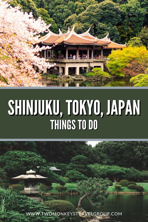 10 Things To Do in Shinjuku, Tokyo, Japan [with Suggested Tours] Tokyo Things To Do, Shinjuku Japan, Japan March, Tokyo Shinjuku, Travel To Japan, Tokyo Trip, Japan Holiday, Japan Tourism, Rail Station