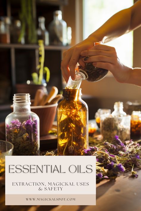 Discover the enchanting world of essential oils with our definitive guide, "Essential Oils: Extraction, Magickal Uses & Safety"! 🌿🔮 Unlock the mystical properties and practical applications of these potent elixirs. Learn about their extraction processes, magical uses, and essential safety guidelines. Immerse yourself in the aromatic allure of nature’s essence, and enhance your magical practices and daily life with the wisdom of oils. ✨🌺 #EssentialOils #MagickalUses #NaturalWellness Magic Oil Recipes, Diy Elixir, Cleansing Spells, Herbs Medicine, Oil Extraction, Apothecary Style, Essential Oil Extraction, Magickal Herbs, Moon Water