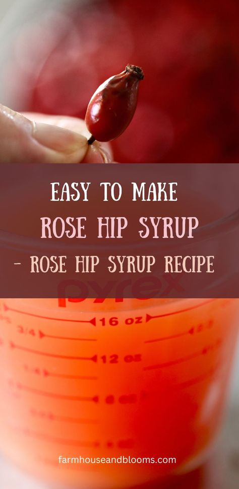 two pictures, one of a rose hip, and one of a cup of rose hip infusion Rose Hips Benefits, Rose Syrup Recipe, Rosehip Recipes, Rosehip Syrup, Edible Roses, Wild Food Foraging, Medicinal Herbs Garden, How To Make Rose, Simple Syrup Recipes