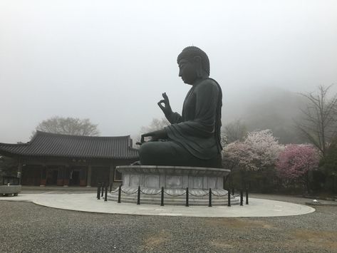 Cheonan, 2 On, South Korea, Trip Advisor, Buddha Statue, Temple, Statue, Art