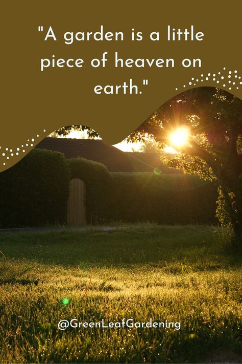 Inspirational quotes for garden | Inspirational quotes for gardeners | Green Leaf Gardening | Garden Design | Gardening Aesthetics. Discover a green oasis of motivation with our handpicked collection of Inspirational Quotes for Gardeners. Get inspired to nurture your garden sanctuary with these empowering garden quotes. 🌿🌼 #GardenInspiration #GardenQuotes #InspirationalGardening #GreenThumbs #GardenersParadise If you want to known or learn about gardening so visit the link in bio. Garden Quotes Inspirational, Quotes About Gardening, Gardening Quotes Inspirational, Hobbies Quote, Womens Bible, Garden Sanctuary, Gardening Quotes, Abstract Art Images, Deck Porch