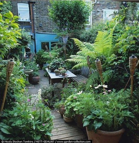 7 Ideas to Give a Spin to Your Small Garden and Turn it into Paradise - L' Essenziale Reka Bentuk Landskap, Mata Air, Small Courtyard Gardens, Small Yards, Jungle Gardens, نباتات منزلية, Garden Small, Desain Lanskap, Front Yards