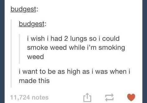 How High Are You, Funny Tumblr Posts, My Chemical, Philosophers, I Want To Be, Lungs, Funny Pins, Tumblr Funny, Tumblr Posts