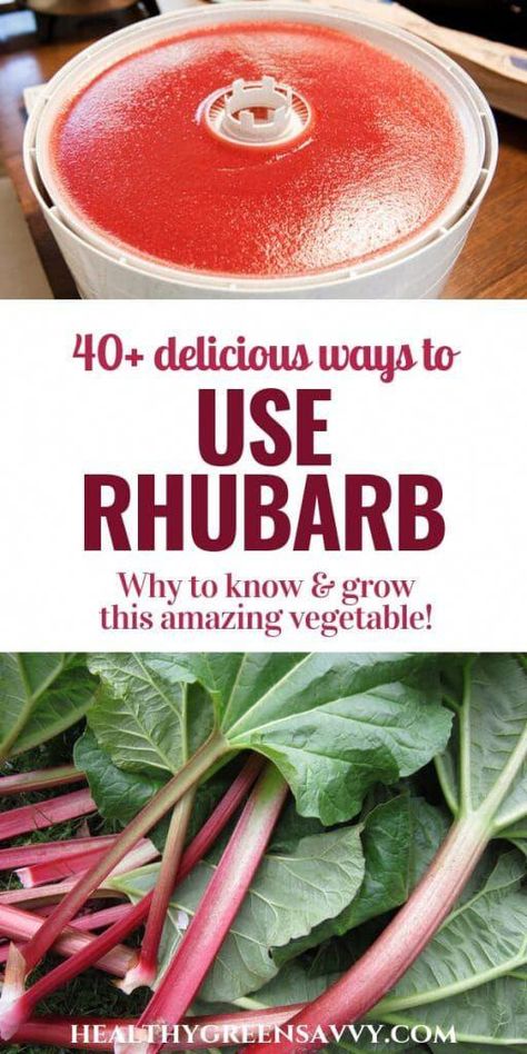 Healthy Rhubarb Recipes, Rhubarb Rhubarb, Low Calorie Vegetables, Rhubarb Desserts, Rhubarb Recipes, Incredible Recipes, Garden Recipes, Healthy Vegetables, Save For Later