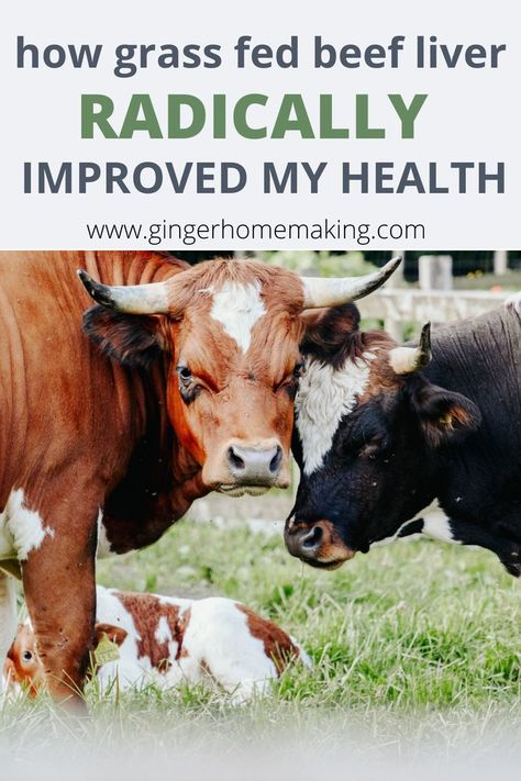 Learn How Grass Fed Beef Liver capsules completely transformed my health. I started taking Ancestral Beef Liver capsules when facing severe engery loss and fatigue in the second trimester. I wasn't anemic, but my ferritin levels were very low. Turns out that I needed more iron and micronutrients. In this article, I am sharing the details of WHY organ meats are essential, the benefits of eating them, and the best brand of grass fed beef liver capsules that I found. Mood and energy improved! Beef Liver Benefits, Liver Nutrition, Liver Supplements, Liver Recipes, Nourishing Traditions, Grass Fed Meat, Healthy Balanced Diet, Eat Beef, Beef Liver