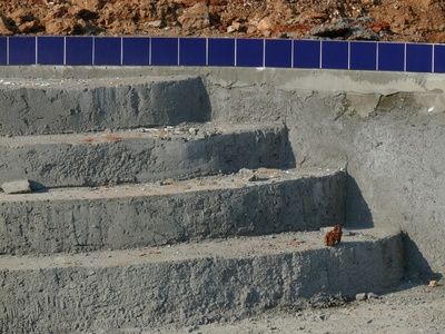 Problems With Gunite Pools READ THIS Gunite Pool Ideas, Farm Pool, Gunite Pools, Piscina Diy, Pool Makeover, Swimming Pool Repair, Pool Resurfacing, Swimming Pool Service, Pool Plaster