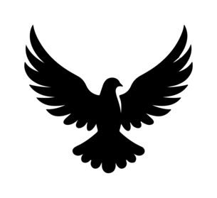 black dove icon peace symbol flying pigeon with branch vector graphic eps 10 Peace Graphic Design, Pigeon Vector, Eye Medical, Peace Icon, Pigeon Design, Dove Symbol, Black Pigeon, Pigeon Logo, Flying Pigeon