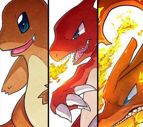 Charmander, Charmeleon, and Charizard Charmander Evolution, Charmander Charmeleon Charizard, Dance With The Devil, 151 Pokemon, Pokemon Charmander, Pokemon Starters, Pokemon Pins, Pokemon Collection, Bd Comics