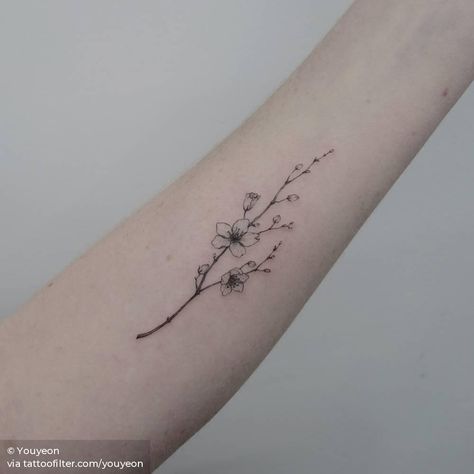 Blossom Branch Tattoo, Cherry Blossom Branch Tattoo, Small Floral Tattoo, Cherry Blossom Tattoos, Sakura Tattoo, Cherry Tattoos, Lavender Tattoo, Branch Tattoo, Single Needle Tattoo