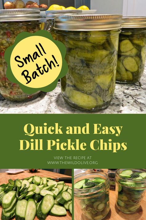 Dill Sliced Pickles, Sour Dill Pickle Recipe Canning, Small Batch Dill Pickles Canning, Easy Canning Pickles Recipes, Canned Dill Pickle Slices, Dill Pickle Chips Canning, Hamburger Dill Pickles Canning, Homemade Dill Pickle Chips, Canning Crispy Dill Pickles