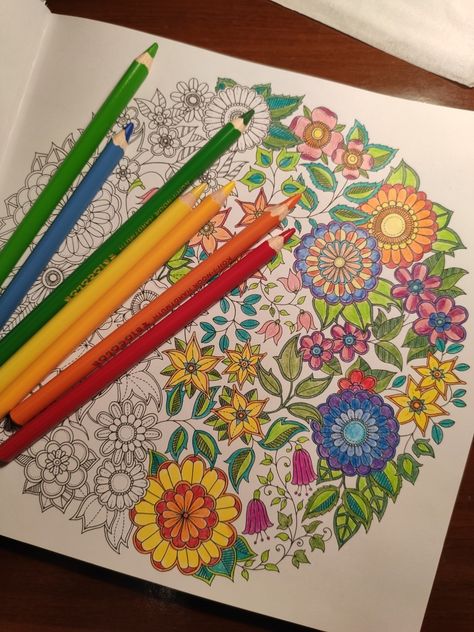 Johanna Basford "Secret Garden" Secret Garden Johanna Basford Coloring, Secret Garden Johanna Basford, Colored Pencil Art Projects, Basford Secret Garden, Johanna Basford Secret Garden, Art Studio Room, Johanna Basford Coloring, Basford Coloring, Studio Room