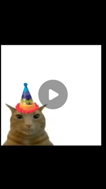 838K views · 236K likes | birthday cat on Instagram: ":v (happy birthday) 💥 (comment your birthday to get tagged) . . . . . #memesdaily #meme #memepage #memesusa #memesuk  #cat #car #foryou #funnymemes #digitalcontent #meow #puss #fyp  #memeseurope #cutecats #catlover #catlifestyle #car #birthdaycat #birthday" Birthday Cat, Happy Birthday Meme, Birthday Meme, Cat Birthday, Digital Content, Cat Gif, Cat Life, Cat Memes, Cute Cats