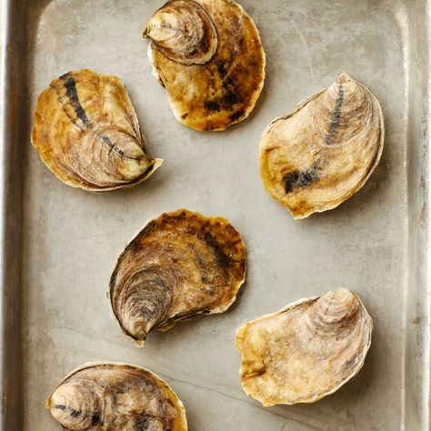 The Easiest Way to Shuck Oysters Starts in the Oven | Bon Appétit Island Creek Oysters, Seasoned Crackers, Cooked Oysters, Oyster Roast, Shucking Oysters, Rare Steak, Raw Oysters, Cheat Code, Roasting Pan