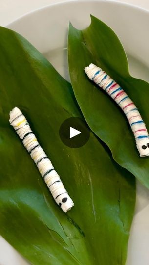 Facebook Caterpillars Preschool, I Ain't Worried, Fun Experiments For Kids, Early Childhood Educator, Stem Experiments, Experiment For Kids, Preschool Rooms, One Republic, Kid Crafts