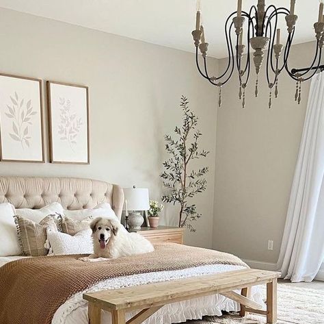 Ideal farmhouse on Instagram: "What do you love the most about this beautiful bedroom?🤍✨ Follow us for more daily farmhouse inspiration!🥰 📷 credit: @ourwintonhome #farmhousedecor #farmhouse #countryliving #farmhouseliving #joannagaines #farmhousehome #modernfarmhousestyle #farmhouselife #rusticfarmhouse #countrylivingmagazine #betterhomesandgardens #farmhouseinspo #farmhousestyledecor #cottagesandbungalows #americanfarmhousestyle #magnoliamarket #southernliving #kitchendesign #mybhghome #bhg #southernlivingmag #farmhousechic #farmhousedesign #hgtv" Neutral Bedroom Ideas With Pop Of Color, Neutral Bedroom Decor, American Farmhouse Style, Neutral Bedrooms, Cottages And Bungalows, Farmhouse Inspiration, Bedroom Photos, Neutral Bedroom, Wood Tones