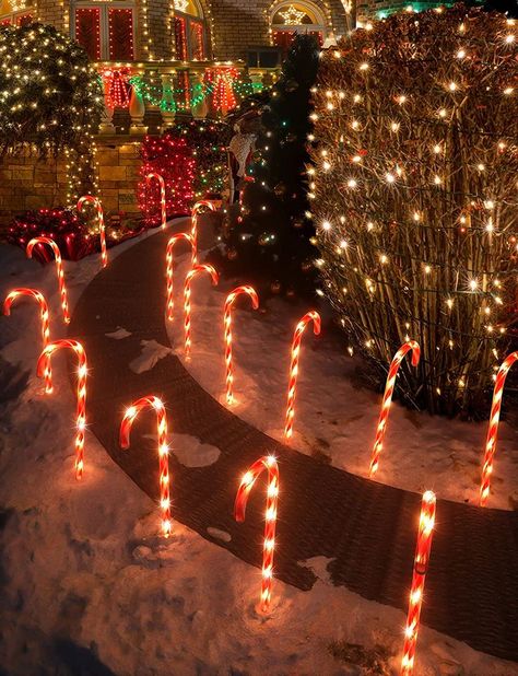 #Christmas Candy Cane #Christmas #Christmas tree Exterior Christmas Lights, Christmas Pathway Lights, Christmas Outdoor Decorations, Lights For Christmas, Winter Wonderland Decorations, Candy Cane Decorations, Diy Christmas Lights, Pathway Lights, Holiday Crafts Diy