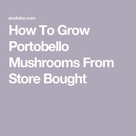 How To Grow Portobello Mushrooms From Store Bought Portabello Mushrooms, Mushroom Growing, Stuffed Portabella Mushrooms, Vegetarian Burger, Portobello Mushroom, Bountiful Harvest, Portobello, How To Grow, To Grow