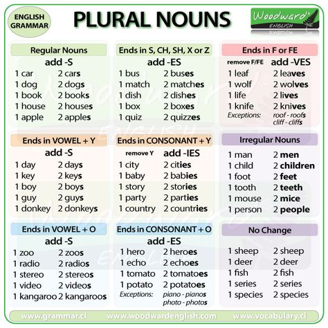 Nouns In English, Plurals Worksheets, Nouns Grammar, Plural Words, Irregular Plurals, Singular And Plural Nouns, English Grammar Exercises, English Grammar For Kids, Singular Nouns