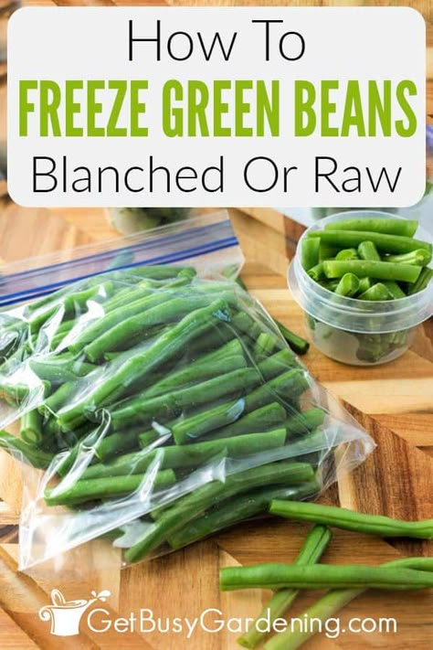 Freezing Green Beans, Preserving Green Beans, Cooking Frozen Green Beans, Freezing Food Guide, Freeze Beans, Cooking Fresh Green Beans, Preserving Vegetables, Blanching Green Beans, Freezing Vegetables