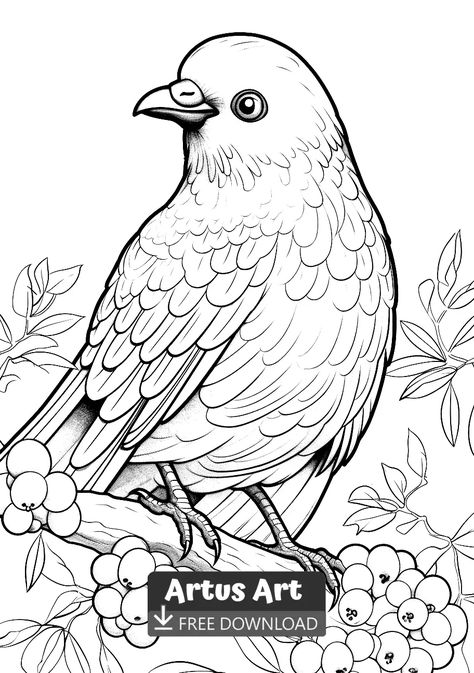 Bowerbird Coloring Page - Free PDF Download Coloring Page. Look at this amazing Awesome Bald eagle. Grab your colored pencils and get your free copy of this coloring page. #freedownload #bowerbirdcoloringpage #bowerbird Bird Coloring Pages For Adults, Birds Coloring Pages Free Printable, Embroidery Birds, Bird Outline, Coloring Page Free Printable, Hijau Mint, Bird Coloring Pages, صفحات التلوين, Floral Chandelier