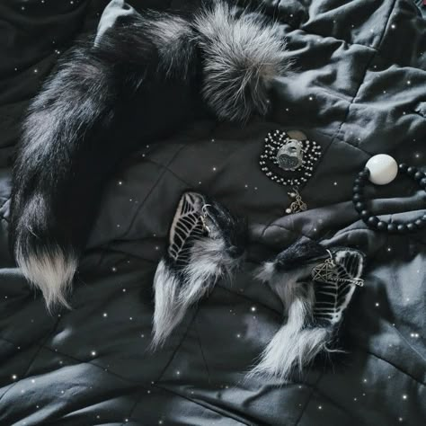 Puppy Space Aesthetic, Puppyspace Aesthetic, Petspace Aesthetic, Goth Age Regregression, Puppy Play Aesthetic, Pup Play Aesthetic, Dogboy Aesthetic, Puppy Boy Aesthetic, Puppy Space