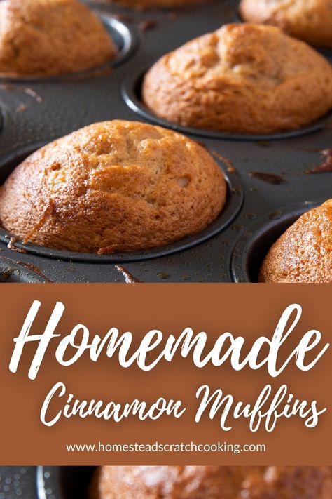 Low-Sugar Cinnamon Muffins Cinnamon Oat Muffins Healthy, Low Carb Muffins Easy, Muffin Recipes For Diabetics, Muffins For Diabetics Easy Recipes, Low Sugar Muffins For Kids, Healthy Breakfast Pastry, Almond Flour Cinnamon Muffins, Sugar Free Muffins For Diabetics, No Sugar Muffins Healthy