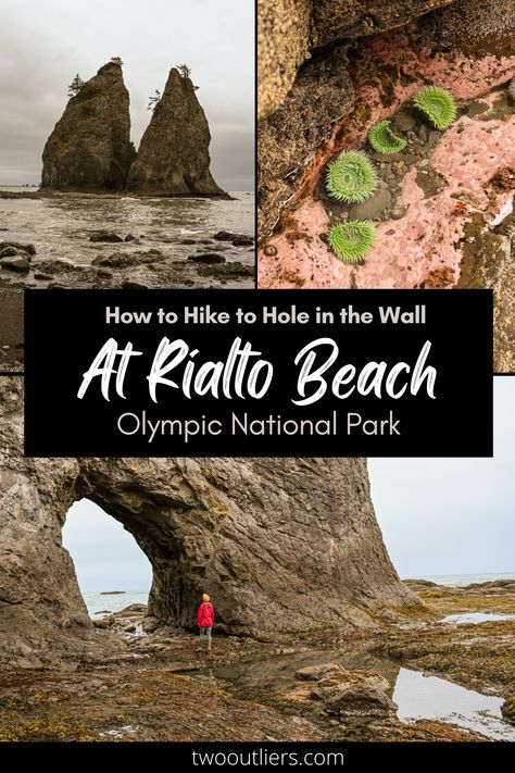 How to hike to Hole in the Wall at Rialto Beach in Olympic National Park Rialto Beach Washington, Oregon Coast Vacation, Rocky Shoreline, Rialto Beach, 2024 Travel, Washington Hikes, Washington Travel, Hole In The Wall, West Coast Road Trip