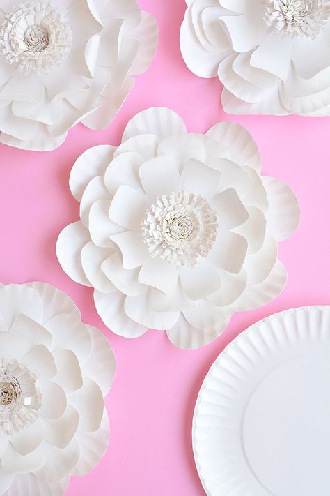 Paper Plate Party Decorations, Paper Plate Centerpiece Ideas, Paper Plates Flowers, Paper Plate Flowers Craft, Paper Plate Decorations Wall Decor, Paper Flowers Classroom Decor, Paper Plate Wall Decor, Painted Paper Flowers, Diy Photobooth Back Drop