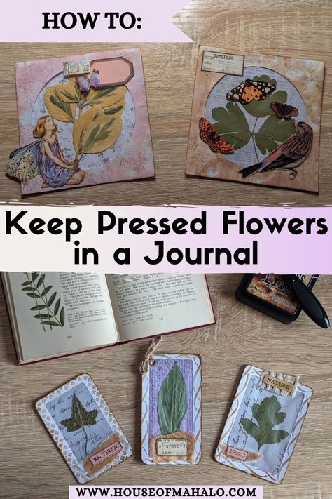 Pressed Flowers Journal Ideas, Pressed Flower Journal Page, Pressed Flowers In Journal, Pressed Flowers Journal, Flower Journal Ideas, Pressed Flower Journal, Ideas For Your Journal, Garden Journals, Garden Journaling