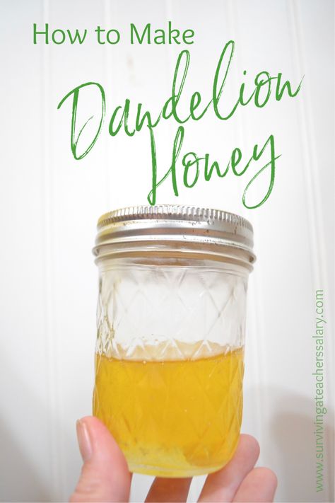 Easy Dandelion Recipes, Dandelion Honey Recipe Easy, Dandelion Honey How To Make, How To Make Dandelion Honey, Dandelion Syrup Recipe, Pickles Apples, Dandelion Honey Recipe, Reeses Cookies Recipes, Dandelion Jam