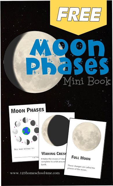 Moon Phases - FREE printable mini book to help kids learn about the different moon phases. Great for an astronomy unit, using a telescope, or as a pocket guide to take while camping for a summer activity for kids. Great for homeschoolers and parents with kids Preschool, Kindergarten = 6th grade. Moon Phases Activities, Homeschool Astronomy, Moon For Kids, Summer Activity For Kids, Parents With Kids, Moon Activities, Mini Puzzle, Sistem Solar, Space Unit